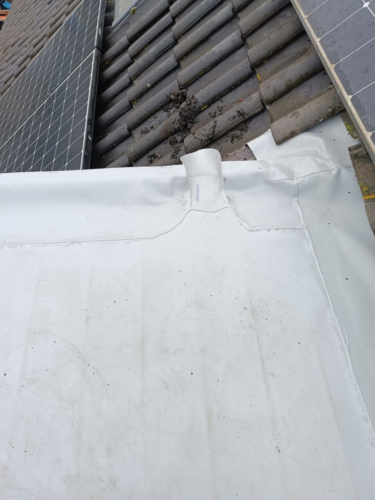 Putten – projectfoto 2: overzicht dakvlak na oplevering