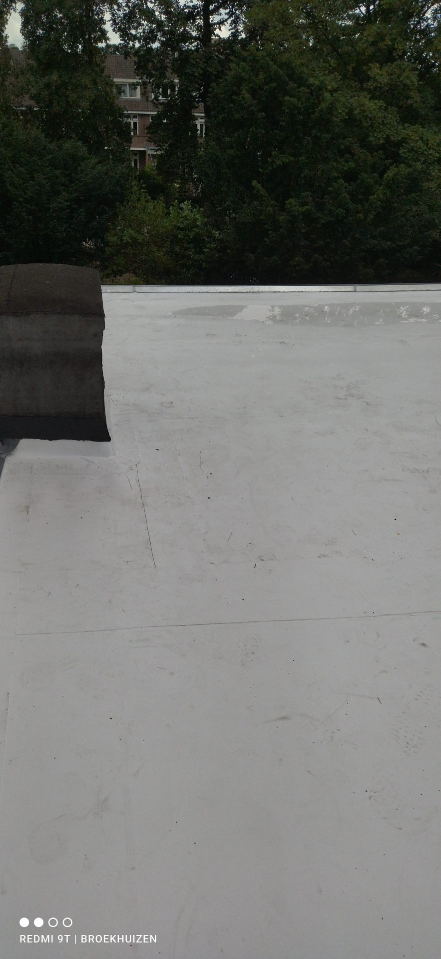 spierwitte koster TPO op een dak in zwolle