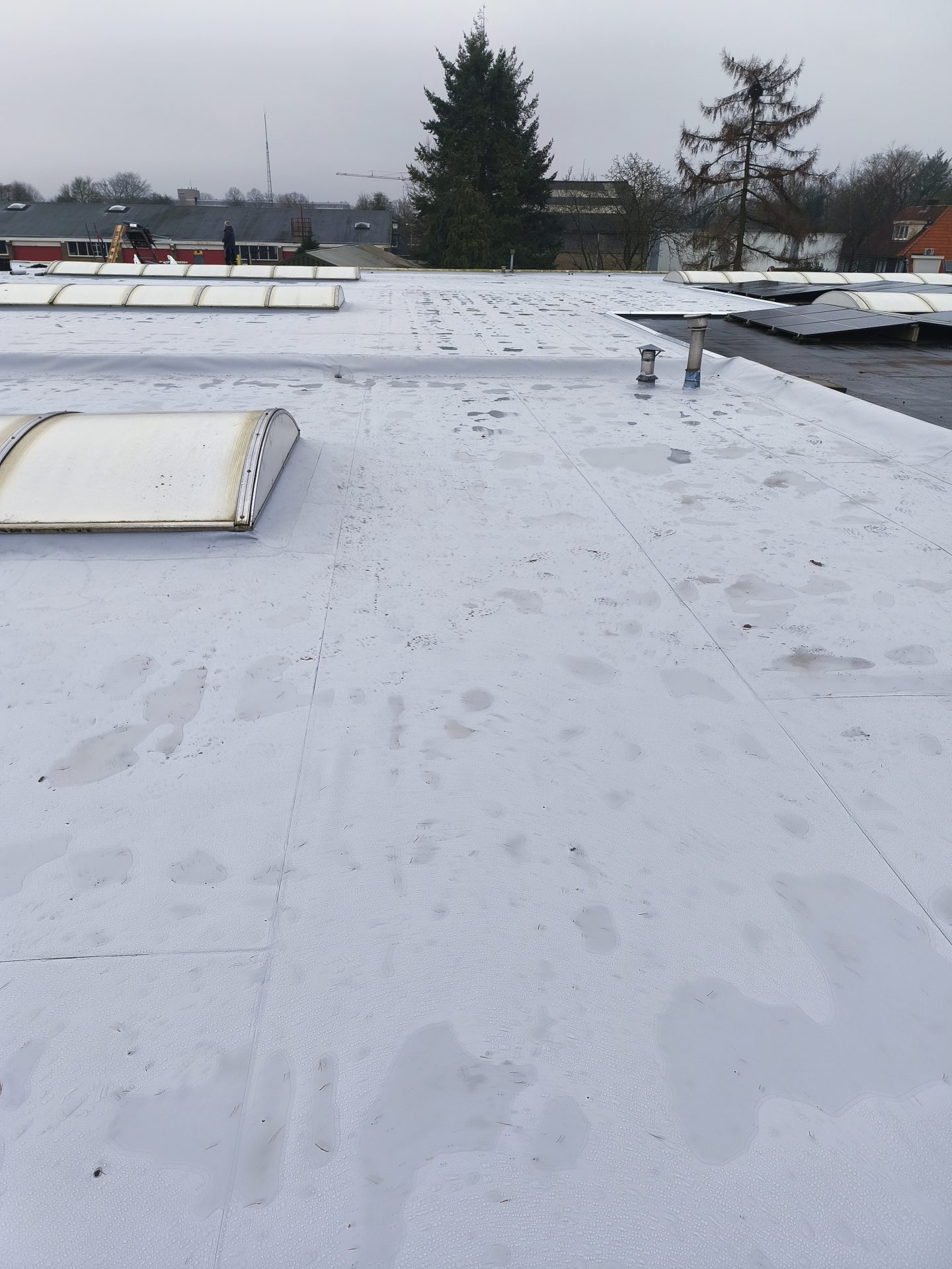 Dak bedrijfspand Storkstraat te Leusden – renovatie plat dak